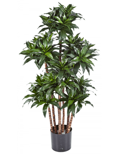 kunstig-dracaena-fragrans-plante-h120-cm
