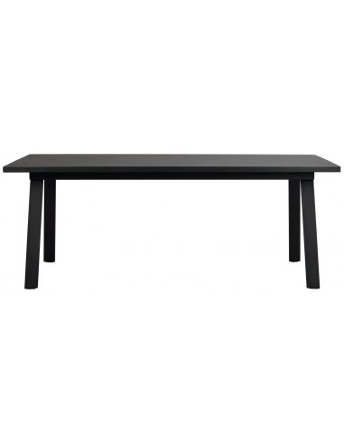 Rowico Winnipeg Spisebord I Metal Og Egetræsfin?r 200 X 100 Cm - Sortsort