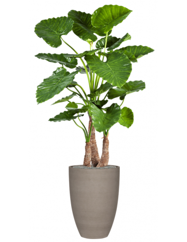 Sammenplantning Med Krukke Og Kunstig Alocasia Calidora Plante H173 Cm