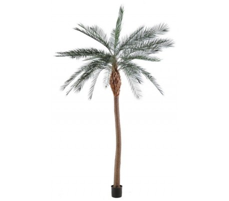 Stor Kunstig Phoenix Palmetræ H280 Cm