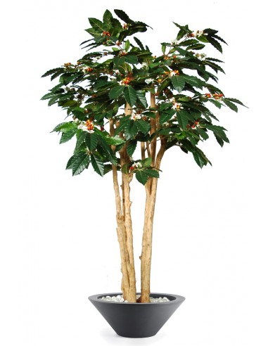 stort-kunstigt-arabica-kaffetrae-med-potte-h180-cm