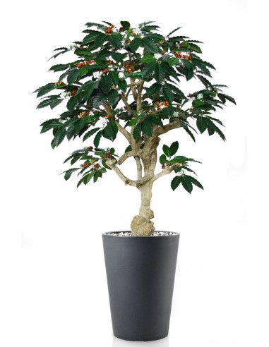Stort Kunstigt Arabica Kaffetræ Med Potte H180 Cm