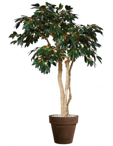 Stort Kunstigt Arabica Kaffetræ Med Potte H250 Cm