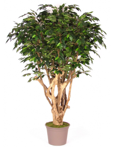 Stort Kunstigt Deluxe Ficus Træ H200 Cm