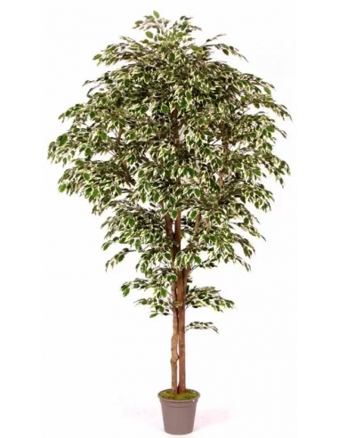 Stort Kunstigt Ficus Træ H225 Cm