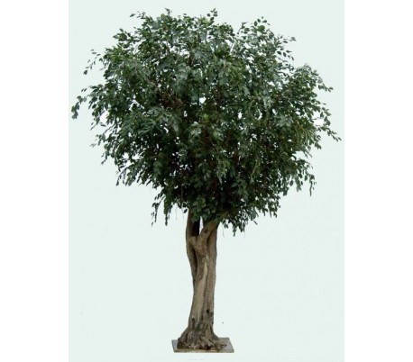 Stort Kunstigt Ficustræ H350 Cm