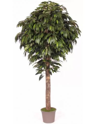 Stort Kunstigt Mangotræ H200 Cm