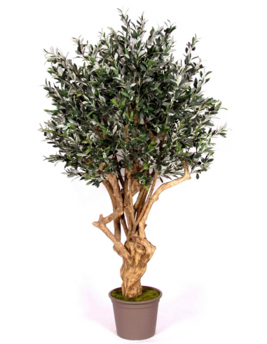 Stort Kunstigt Oliventræ H225 Cm